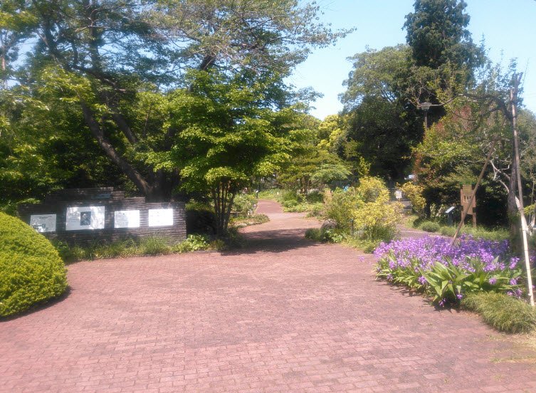 Yokohama City Children's Botanical Garden, Japan